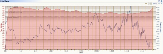 maraton_puls_0