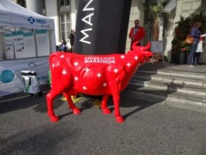 Swiss City Marathon