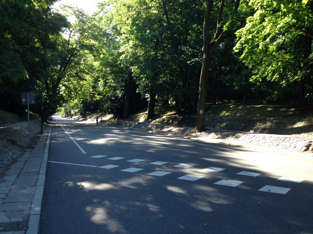 warszawa_agrykola_zbieg