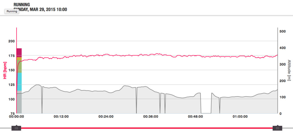 10. PZU Półmaraton Warszawski, tak waliło serce przez 70 minut :)