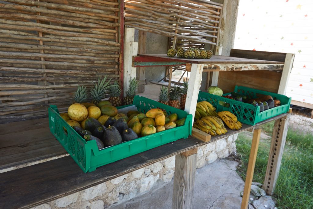 jamaica_2015_DSC01920