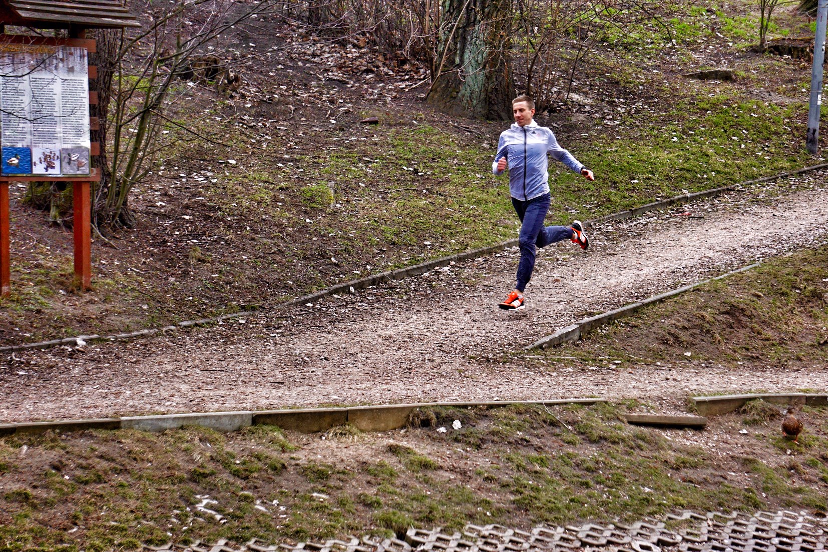 Bieganie trening