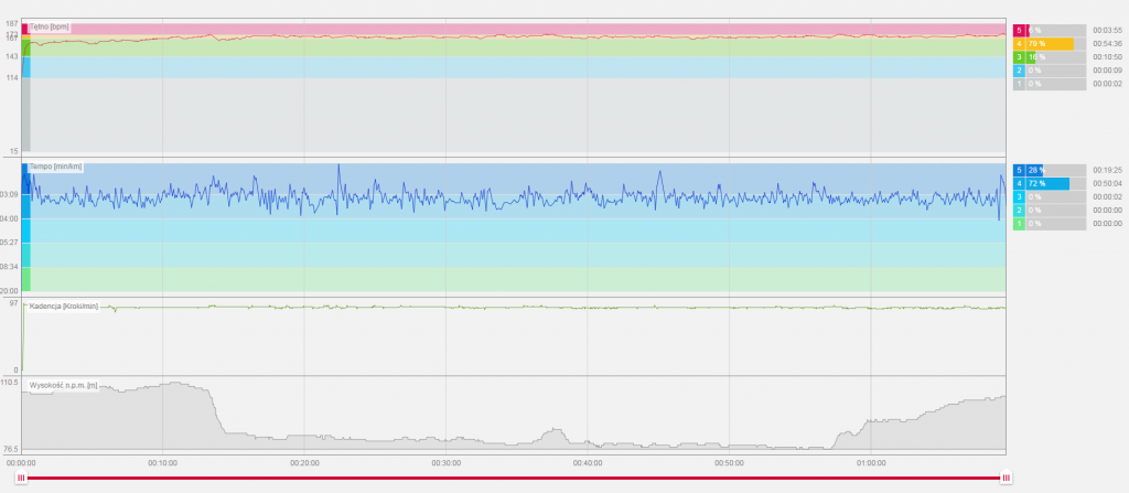 Coś dla fanów wykresów. Tak wyglądał ten bieg. Tempo 3:17, Puls 168 (max 174), Kadencja 182