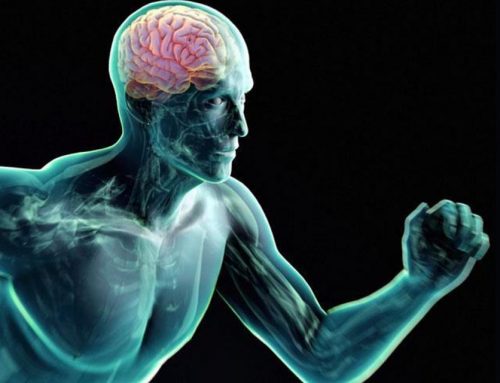 Run your mind – czyli jak aktywność wpływa na pracę naszego mózgu?